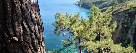 GR34 : en allant vers la Bretagne