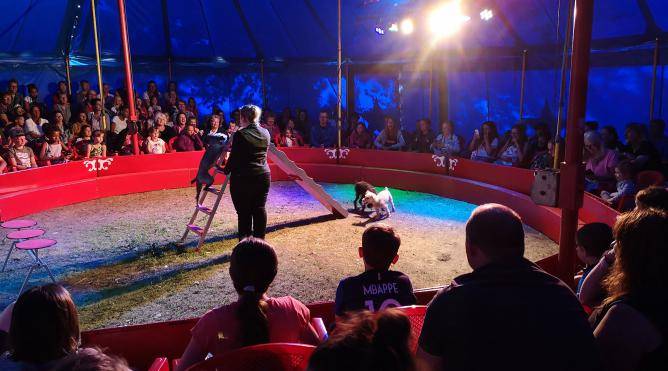 circus camping 4 etoiles manche