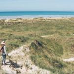 Beach Manche dunes and greenery