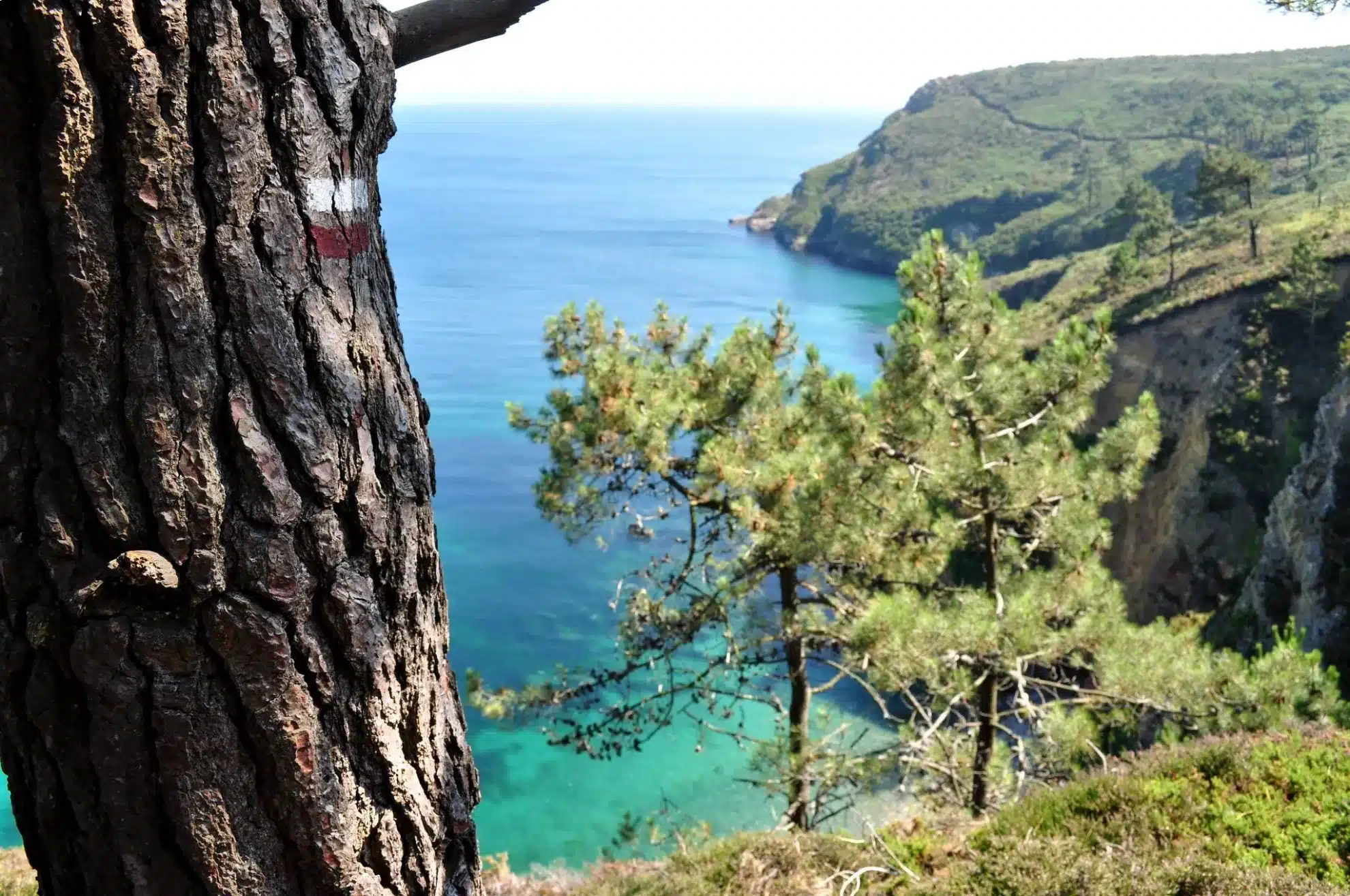 Camping pas cher au cœur de 19 hectares de nature préservée en Normandie.
